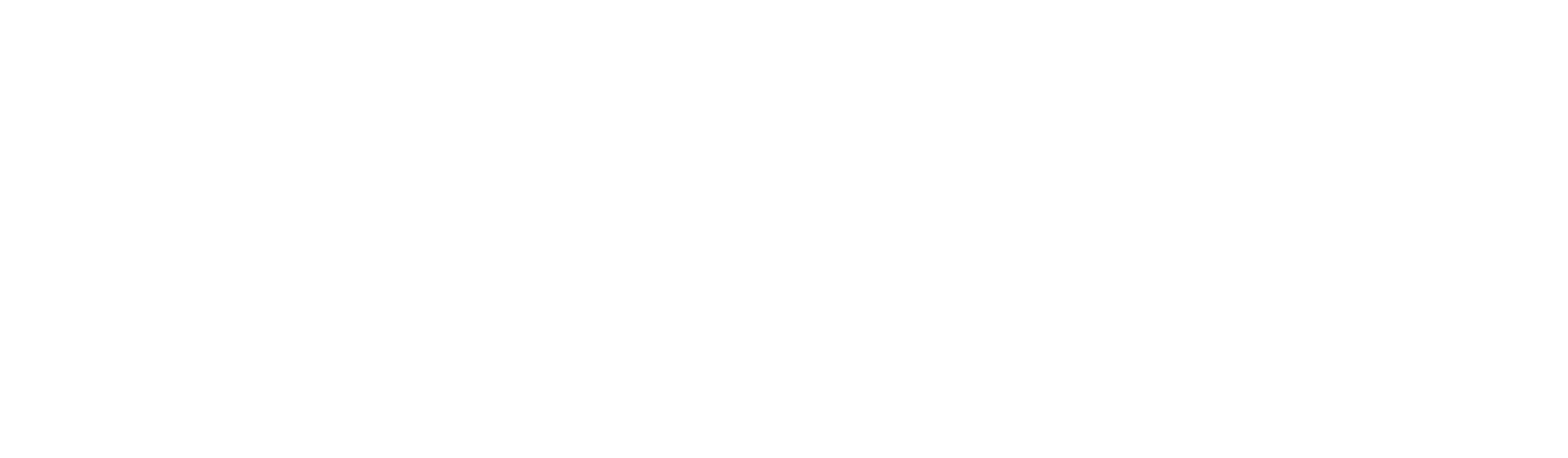 National Organization for Women Political Action Committee